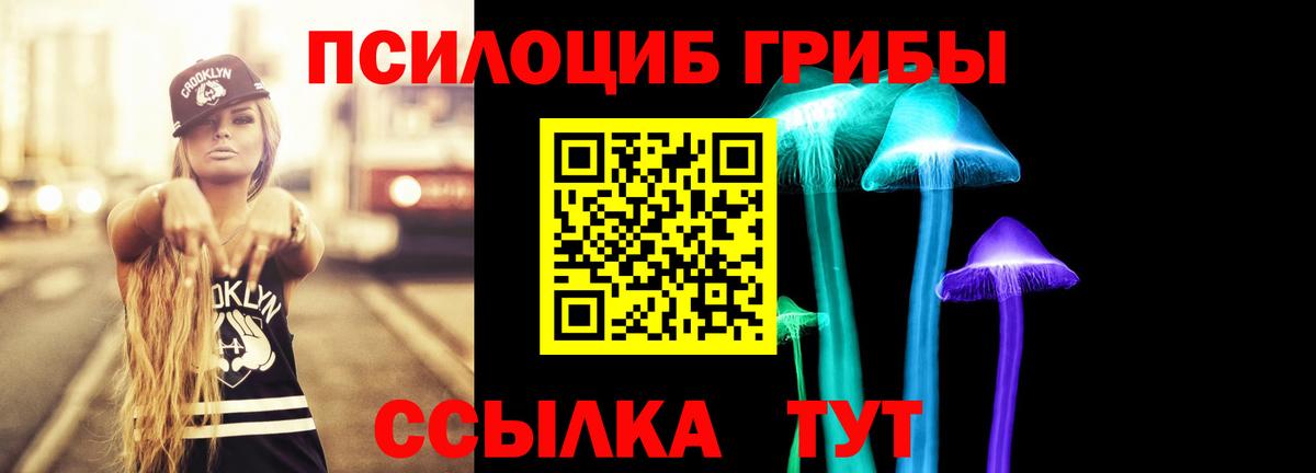 Ступино  Псилоцибиновые грибы Psilocybe  Вход с VPN 
